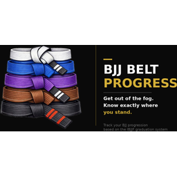 naimterrache_bjj_belt_progress logo